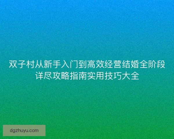 双子村从新手入门到高效经营结婚全阶段详尽攻略指南实用技巧大全